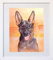 German Shepherd White