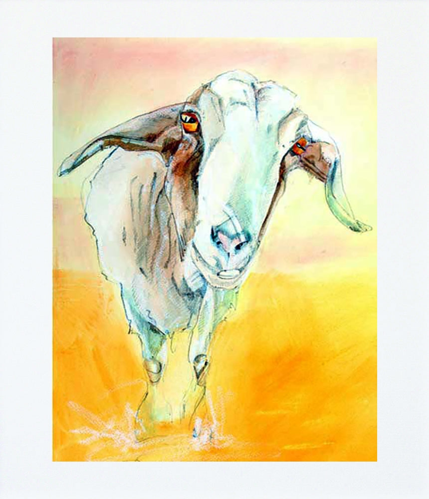 Goat Unframed