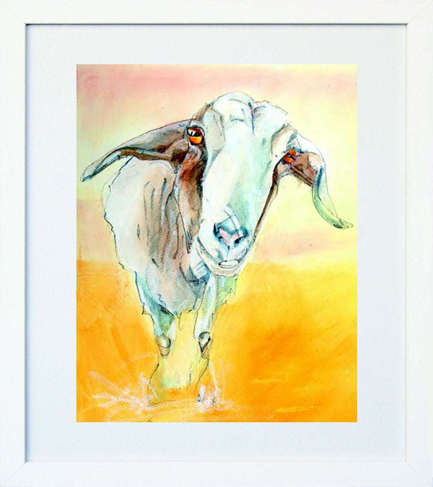 Goat White Frame