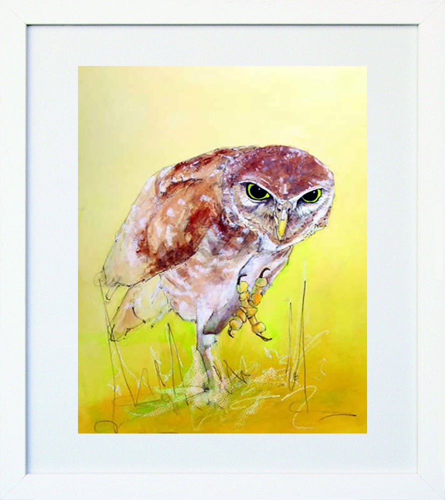 Owl White Frame