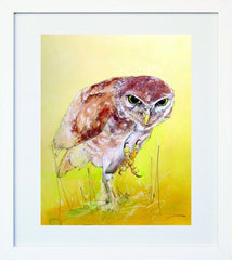 Owl White Frame