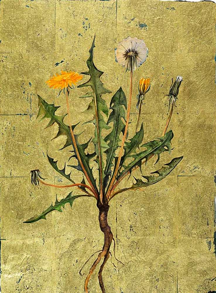 The Lost Words - Dandelion