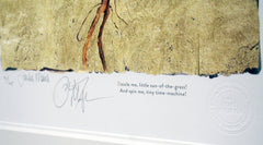 The Lost Words - Dandelion