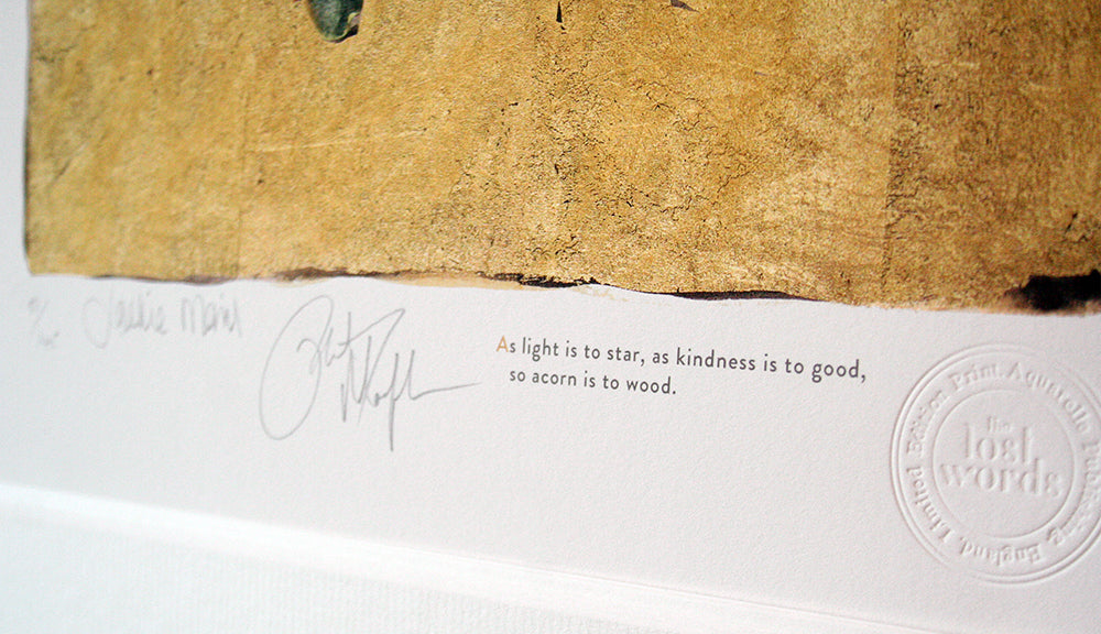 The Lost Words - Acorn