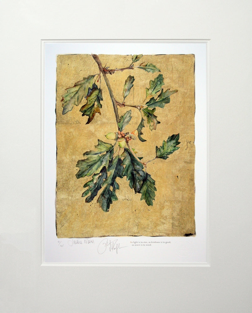 The Lost Words - Acorn Unframed