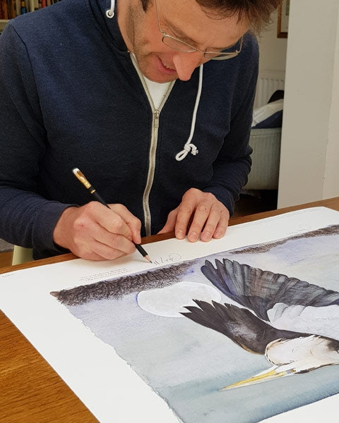 The Lost Words - Heron In Flight Premium Edition Artist Proof