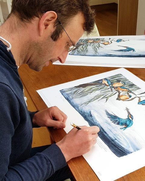 The Lost Words - Kingfishers