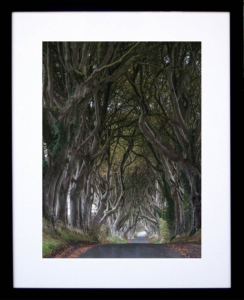 Dark Hedges  Frame Black 30x40