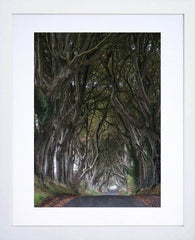 Co Antrim - Dark Hedges Frame White 30 x 40