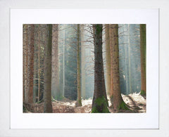 Co Down - Tollymore Spring II Frame White