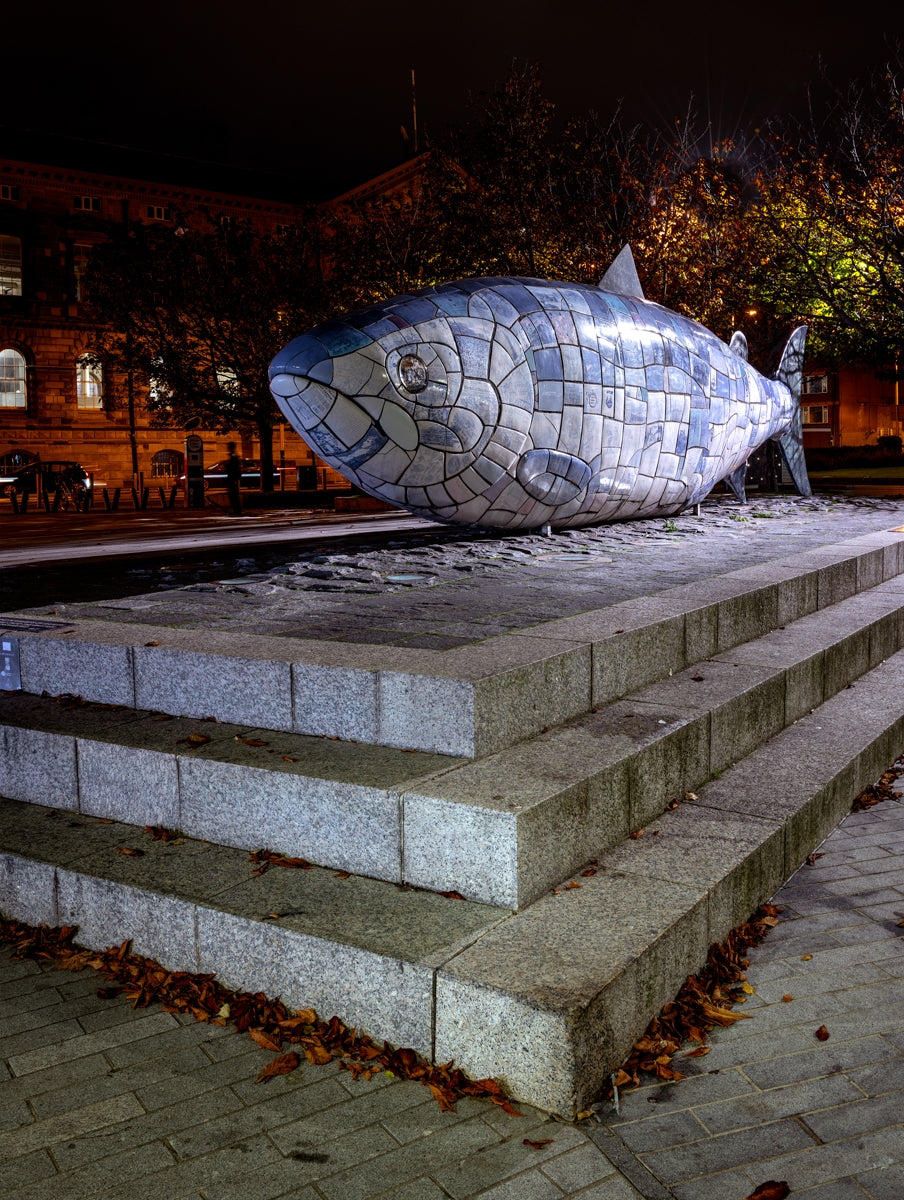 Belfast - The Big Fish Unframed
