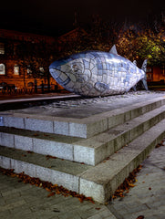 Belfast - The Big Fish Unframed