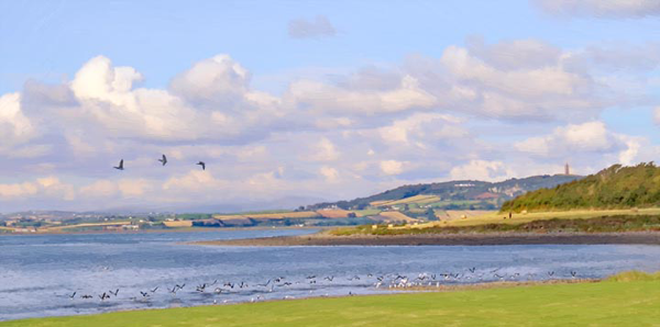 Co Down - Returning to Strangford