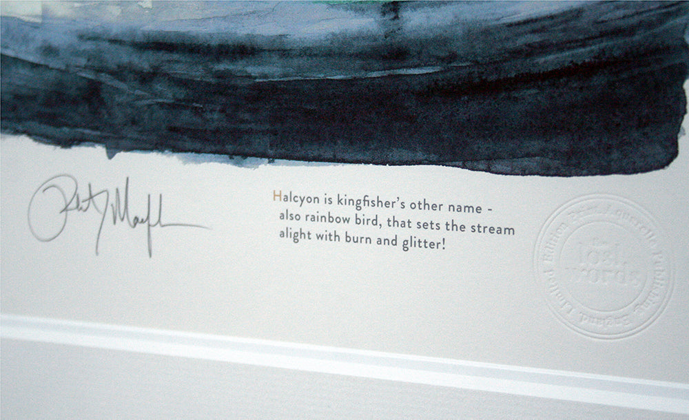 The Lost Words - Kingfishers