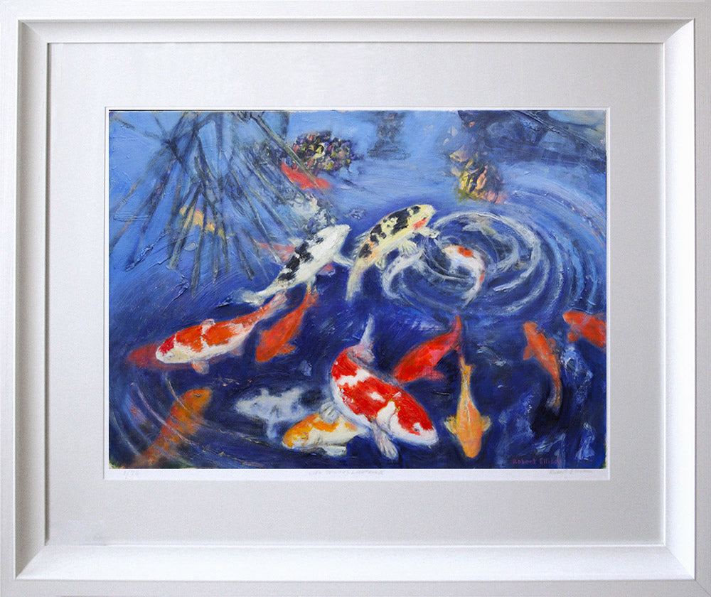 Print - Koi Framed