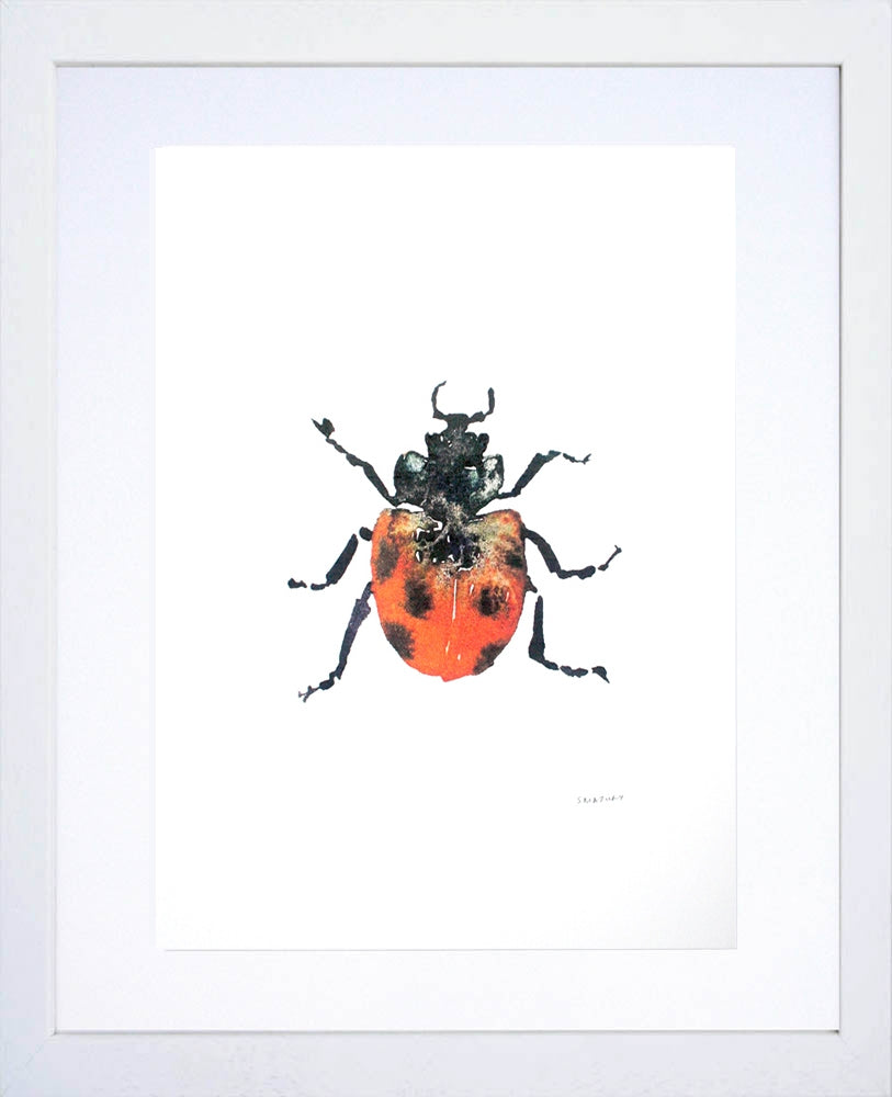 Animals Insect - Ladybird White Frame