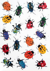 Animals Insect - Ladybirds Unframed