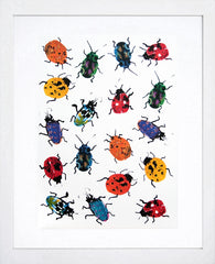 Animals Insect - Ladybirds White Frame