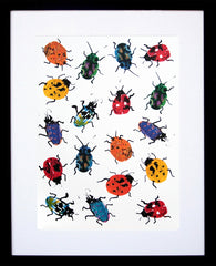 Animals Insect - Ladybirds Black Frame