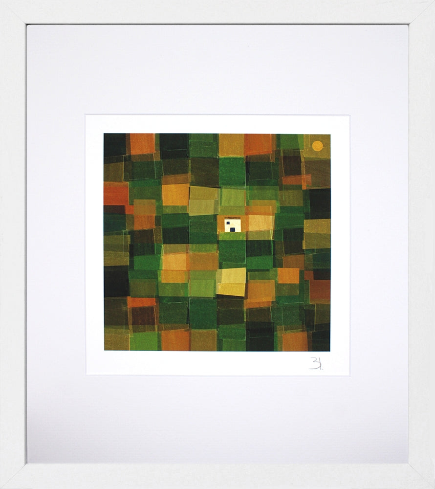 Land - White Box Frame