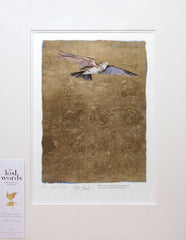 The Lost Words - Lark Unframed