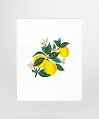 Lemon Blossom - Unframed