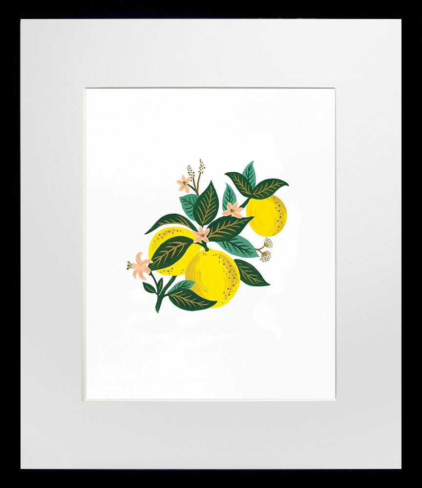 Lemon Blossom - Black Box Frame