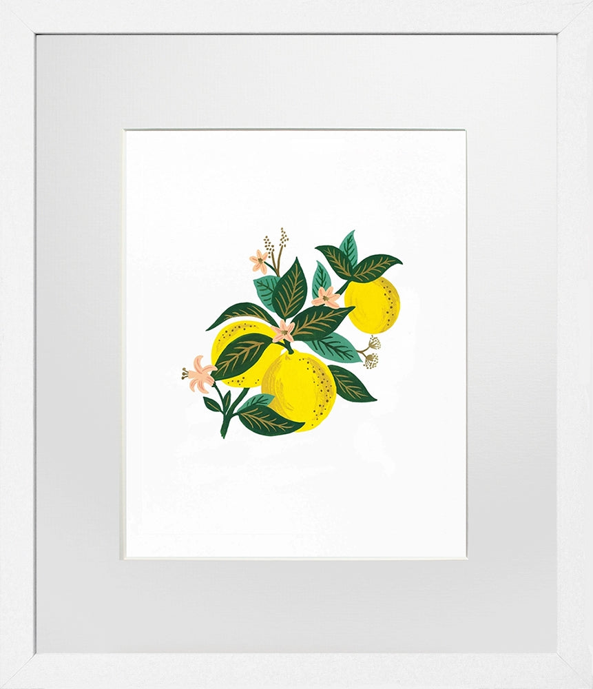 Lemon Blossom - White Box Frame