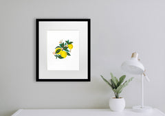 Lemon Blossom