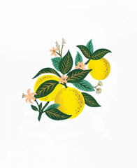 Lemon Blossom