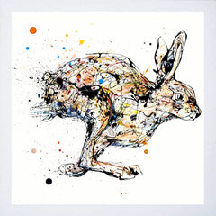 Print Open Edition Animals - Like The Wind-30 x 30-White Box Frame (No Mount)