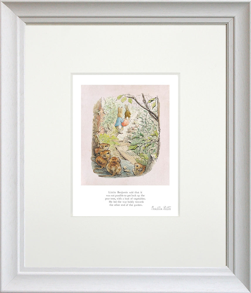 Peter Rabbit - Little Benjamin Said - Framed