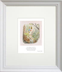Peter Rabbit - Little Benjamin Said - Framed
