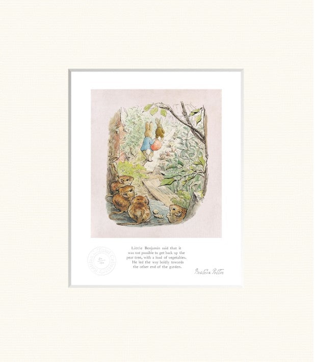 Peter Rabbit - Little Benjamin Said - Unframed