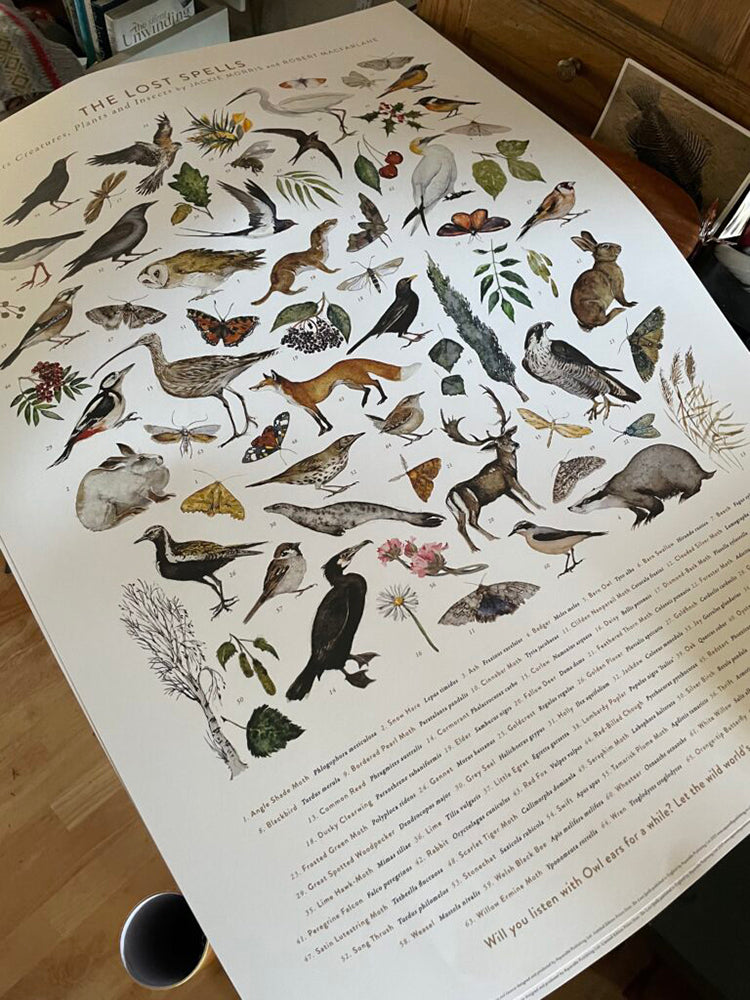 The Lost Spells - Glossary Poster