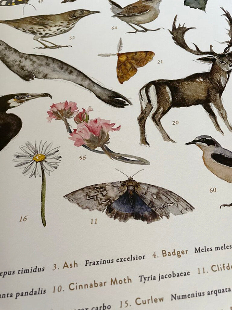 The Lost Spells - Glossary Poster