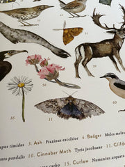 The Lost Spells - Glossary Poster