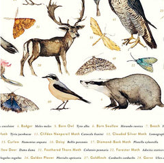 The Lost Spells - Glossary Poster