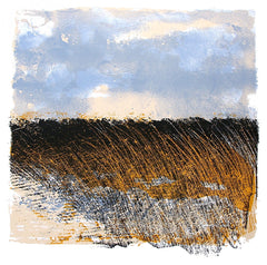 Print - Lough Erne Reed Bed
