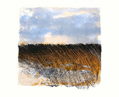 Lough Erne Reed Bed - Unframed