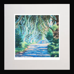Print - Lovers Walk The Dark Hedges-30 x 30-Black Box Frame