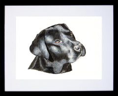 Loyal Lab Black Frame