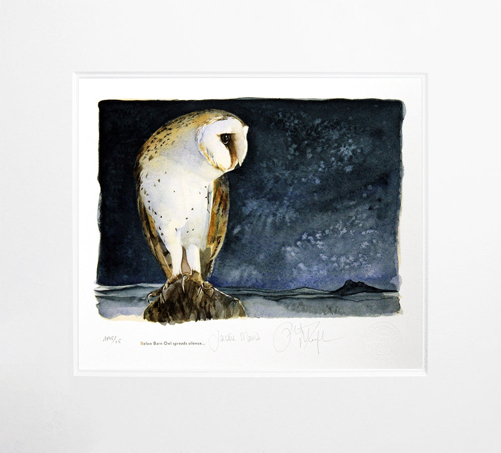The Lost Spells - Barn Owl Artist Proof Unframed
