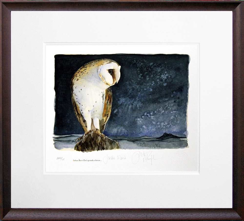 The Lost Spells - Barn Owl Artist Proof Brown Scoop Frame