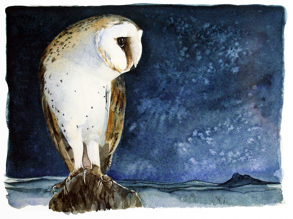 The Lost Spells - Barn Owl Artist Proof