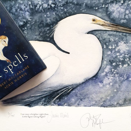 The Lost Spells - Little Egret