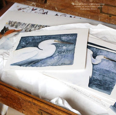 The Lost Spells - Little Egret