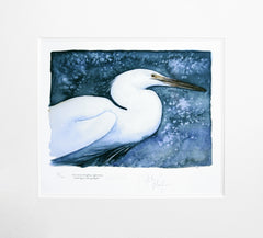 The Lost Spells - Little Egret Unframed