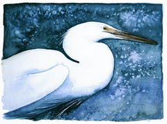 The Lost Spells - Little Egret
