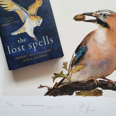 The Lost Spells - Jay